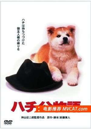 《打动人心的电影》影猫-电影推荐网 WWW.MVCAT.COM