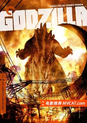 《黑泽明最爱的100部电影》影猫-电影推荐网 WWW.MVCAT.COM