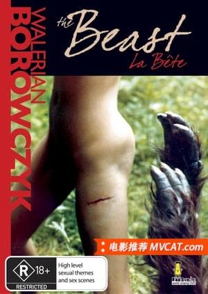 《100部经典情欲电影推荐》影猫-电影推荐网 WWW.MVCAT.COM