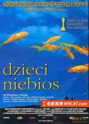 《打动人心的电影》影猫-电影推荐网 WWW.MVCAT.COM