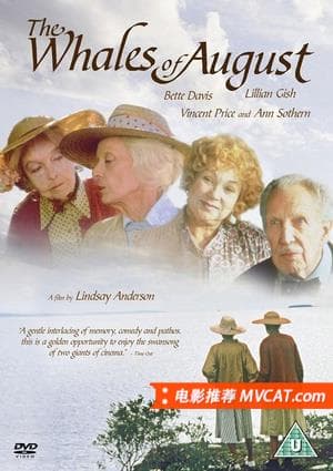 《黑泽明最爱的100部电影》影猫-电影推荐网 WWW.MVCAT.COM