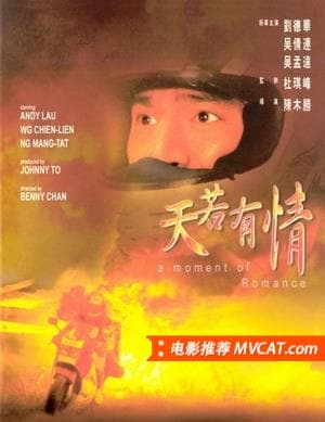 《179部经典港片合集》影猫-电影推荐网 WWW.MVCAT.COM