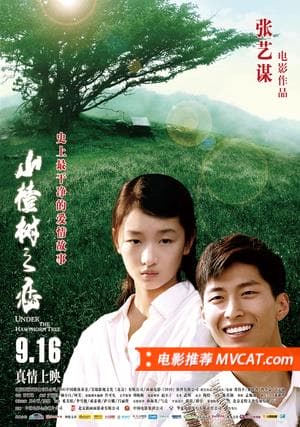 《和绝症相关电影推荐》影猫-电影推荐网 WWW.MVCAT.COM
