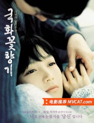 《和绝症相关电影推荐》影猫-电影推荐网 WWW.MVCAT.COM