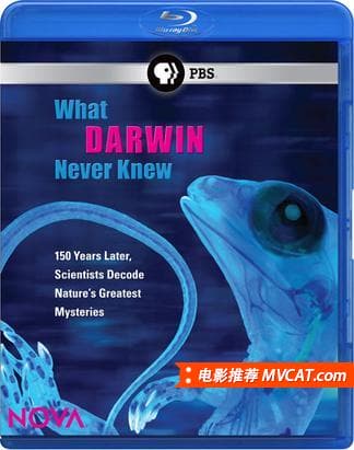 《名字奇葩的好电影合集》影猫-电影推荐网 WWW.MVCAT.COM