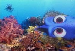 《皮克斯(Pixar)动画短片全集》影猫-电影推荐网 WWW.MVCAT.COM