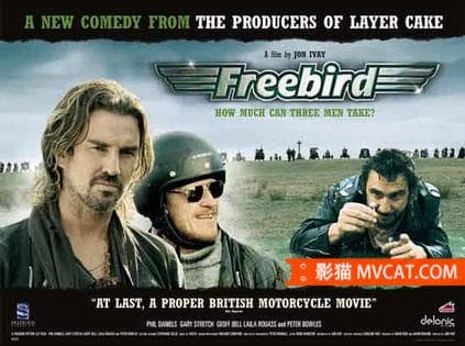 《好看的公路电影合辑》影猫-电影推荐网 WWW.MVCAT.COM