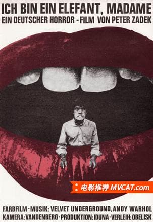 《名字奇葩的好电影合集》影猫-电影推荐网 WWW.MVCAT.COM