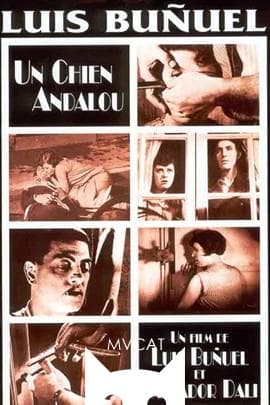 一条安达鲁狗/Un chien andalou(1929)