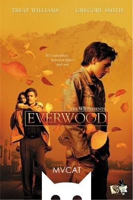 雪山镇/Everwood(2002)