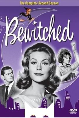 家有仙妻/Bewitched(1964)
