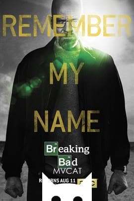 绝命毒师/Breaking Bad(2008)