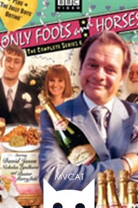 只有傻瓜和马/Only Fools and Horses....(1981)