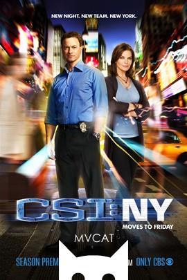犯罪现场调查：纽约/CSI:NY(2004)
