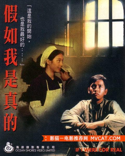 《奇特电影推荐》 影猫－电影推荐网 WWW.MVCAT.COM