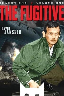 亡命天涯/The Fugitive(1963)