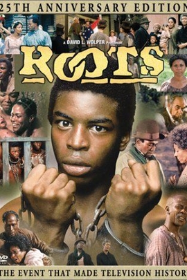 根/Roots(1977)