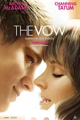 誓约/The Vow(2012)