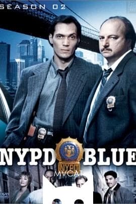 纽约重案组/NYPD Blue(1993)