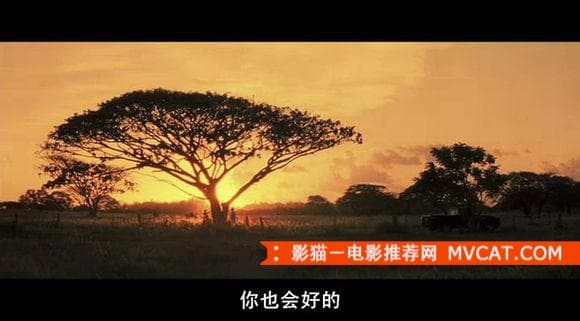 《100部最佳爱情电影推荐》 影猫－电影推荐网 WWW.MVCAT.COM