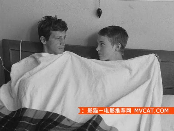 《100部最佳爱情电影推荐》 影猫－电影推荐网 WWW.MVCAT.COM