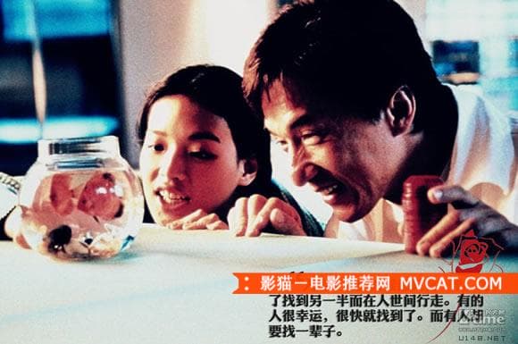 《香港爱情电影推荐之经典台词》——影猫－电影推荐网 WWW.MVCAT.COM