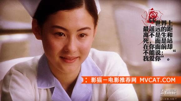 《香港爱情电影推荐之经典台词》——影猫－电影推荐网 WWW.MVCAT.COM