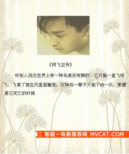 《品读经典电影台词》——影猫－电影推荐网 WWW.MVCAT.COM