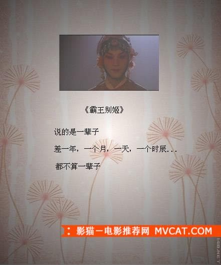 《品读经典电影台词》——影猫－电影推荐网 WWW.MVCAT.COM