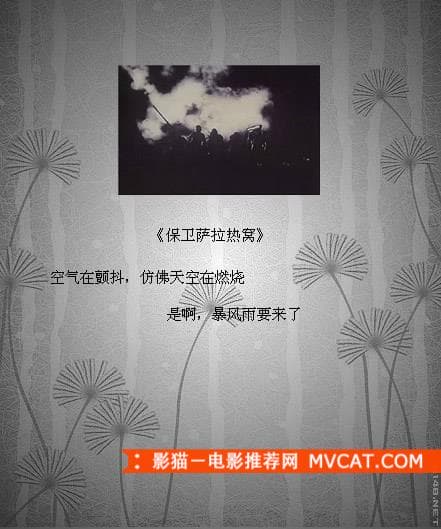 《品读经典电影台词》——影猫－电影推荐网 WWW.MVCAT.COM