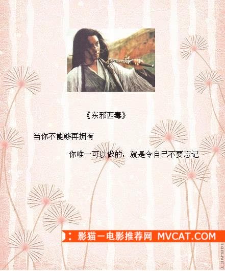 《品读经典电影台词》——影猫－电影推荐网 WWW.MVCAT.COM