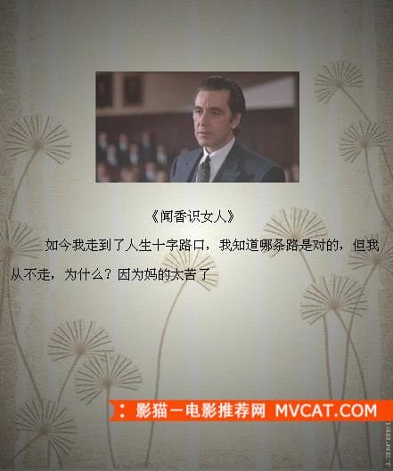 《品读经典电影台词》——影猫－电影推荐网 WWW.MVCAT.COM