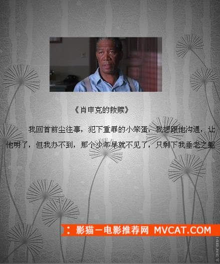 《品读经典电影台词》——影猫－电影推荐网 WWW.MVCAT.COM