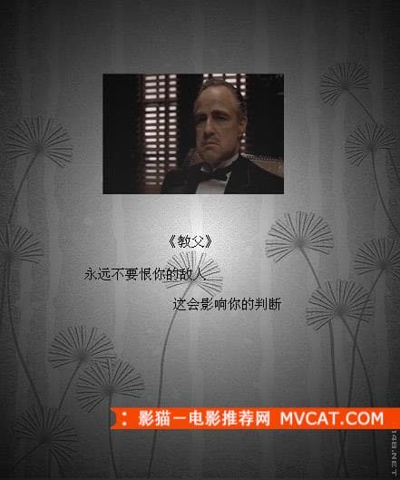《品读经典电影台词》——影猫－电影推荐网 WWW.MVCAT.COM