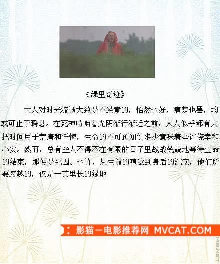 《品读经典电影台词》——影猫－电影推荐网 WWW.MVCAT.COM