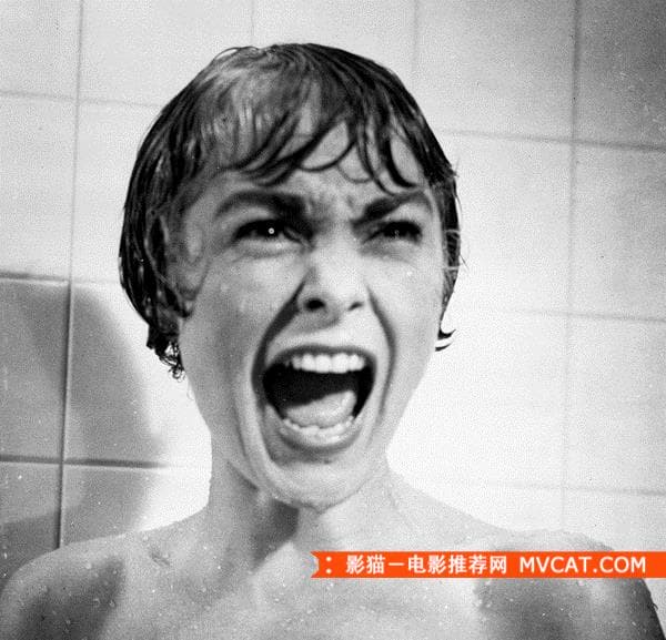 惊魂记.jpg