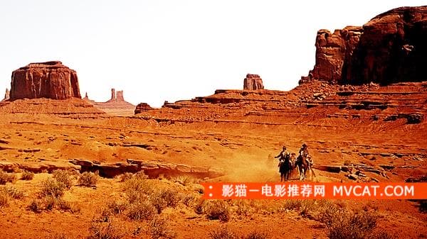 搜索者剧照.jpg