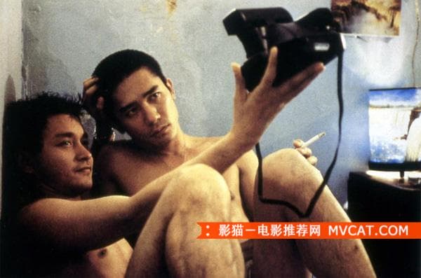 春光乍泄.jpg