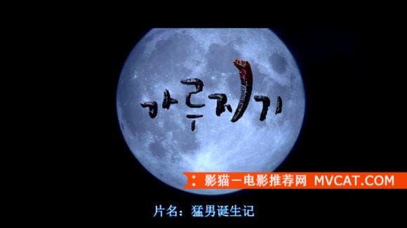 《韩国情色电影大盘点》 影猫－电影推荐网 WWW.MVCAT.COM
