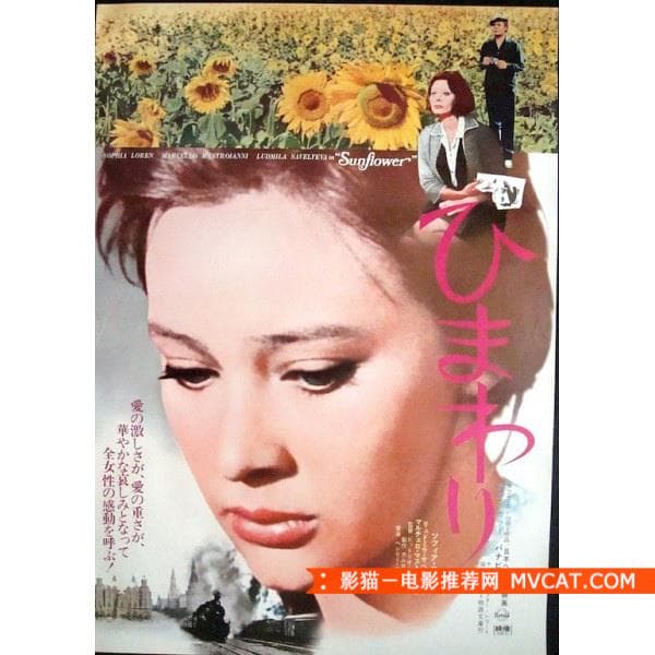 《关于女人的二战电影》 影猫－电影推荐网 WWW.MVCAT.COM