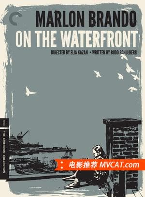 《一生要看的300部电影》影猫－电影推荐网 WWW.MVCAT.COM