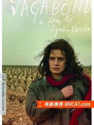 《历届威尼斯电影节金狮奖最佳影片(1932-2016)》影猫－电影推荐网 WWW.MVCAT.COM