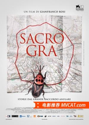 《历届威尼斯电影节金狮奖最佳影片(1932-2016)》影猫－电影推荐网 WWW.MVCAT.COM