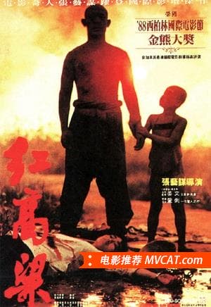 《中国电影金鸡奖最佳影片(1981-2015)》影猫－电影推荐网 WWW.MVCAT.COM