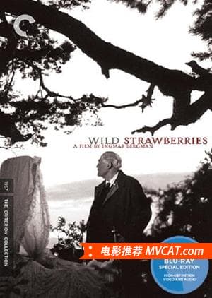 《一生要看的300部电影》影猫－电影推荐网 WWW.MVCAT.COM