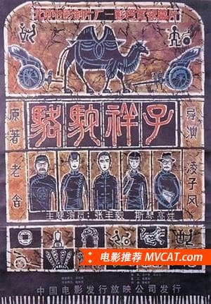 《中国电影金鸡奖最佳影片(1981-2015)》影猫－电影推荐网 WWW.MVCAT.COM