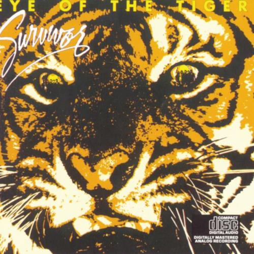 今日《Eye of the tiger》