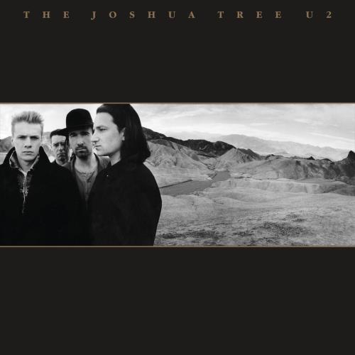 今日《The Joshua Tree》