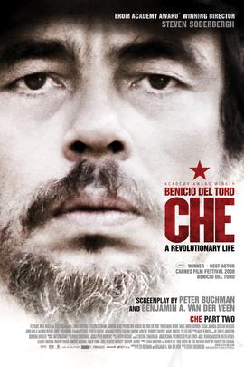 切·格瓦拉：游击队/Che:Part Two(2008)