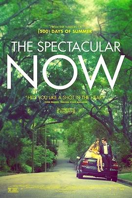 美好的现在/The Spectacular Now(2013)